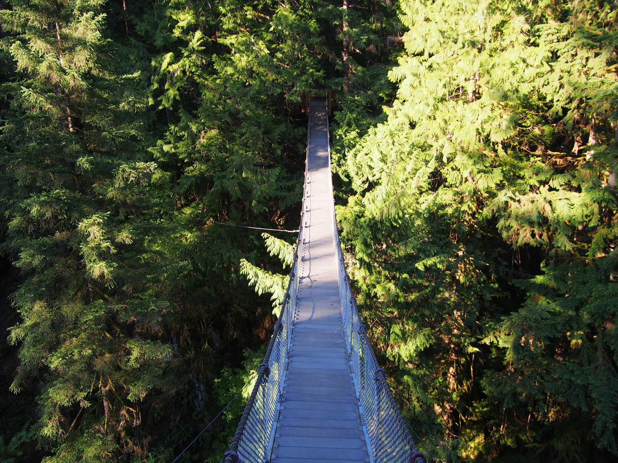 15-lynn-canyon-susp-bridge